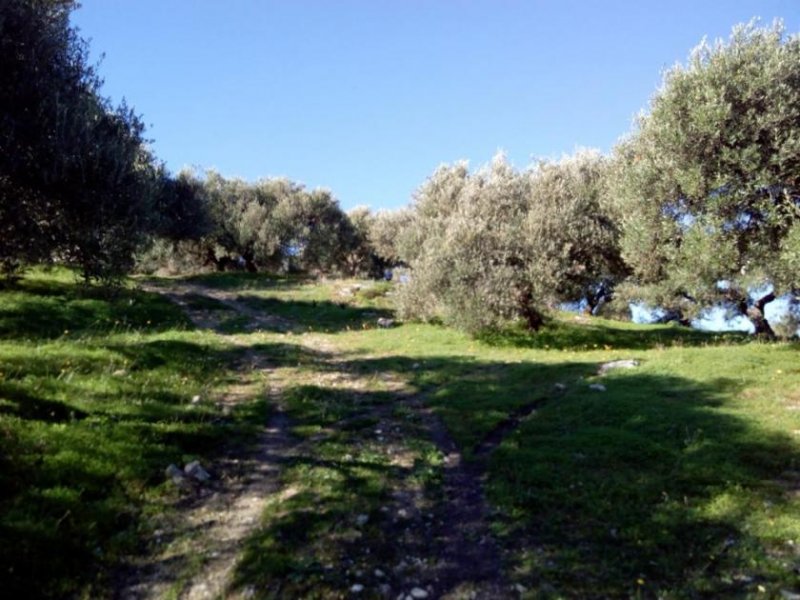 Kalyves Land mit großartigem Meerblick in Apokoronas zum Verkauf Grundstück kaufen